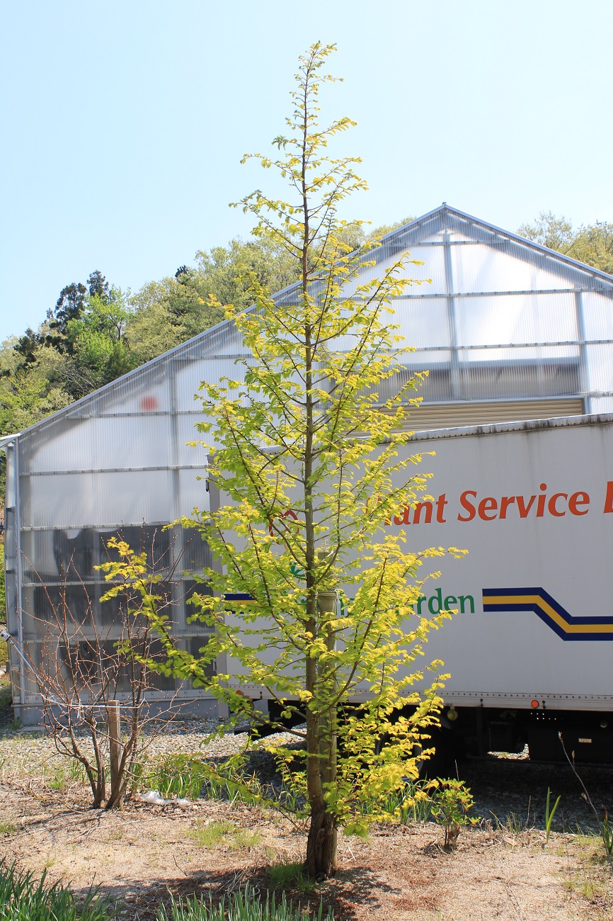 分野別詳細ページ