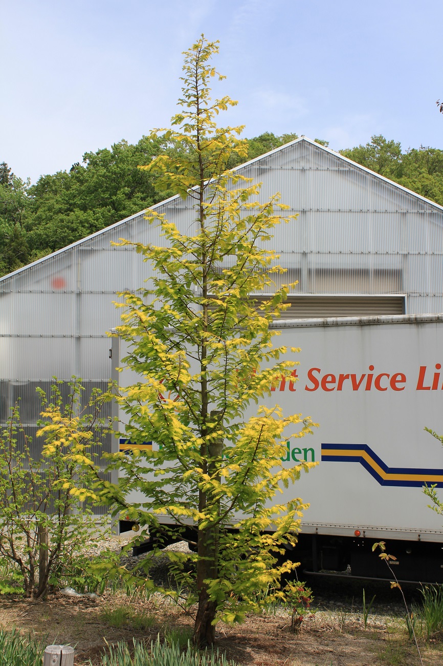 分野別詳細ページ