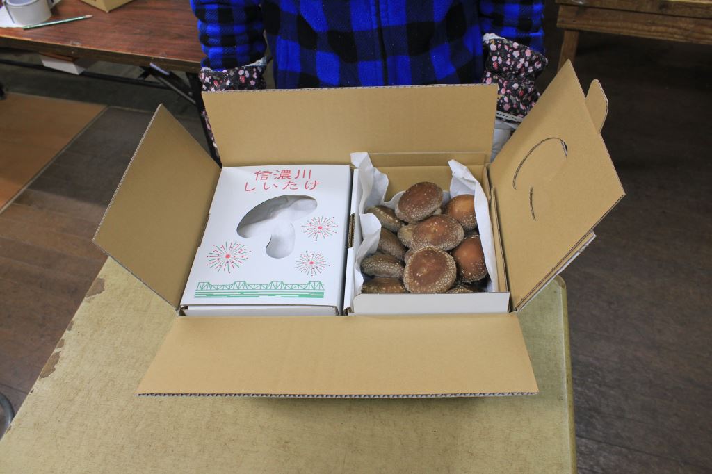 生シイタケ（最上級品）白箱