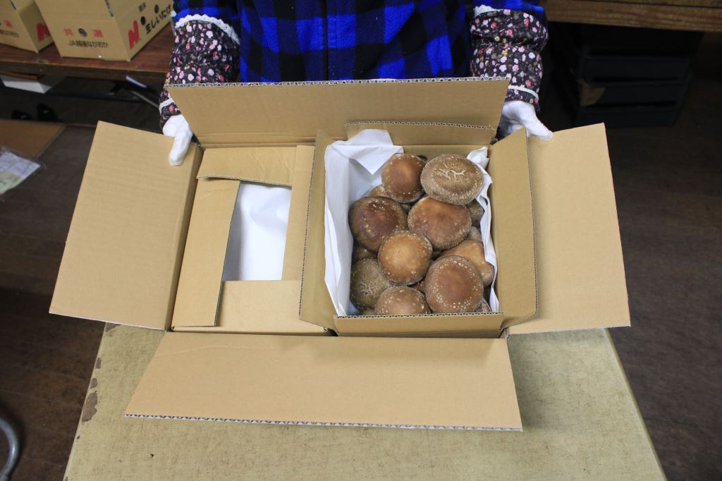 18l入ダンボール詰