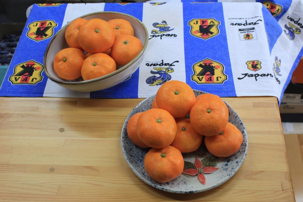 青島温州みかん　皿森