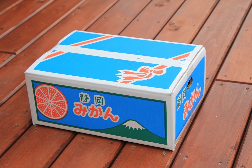 青島温州みかん　5kg箱